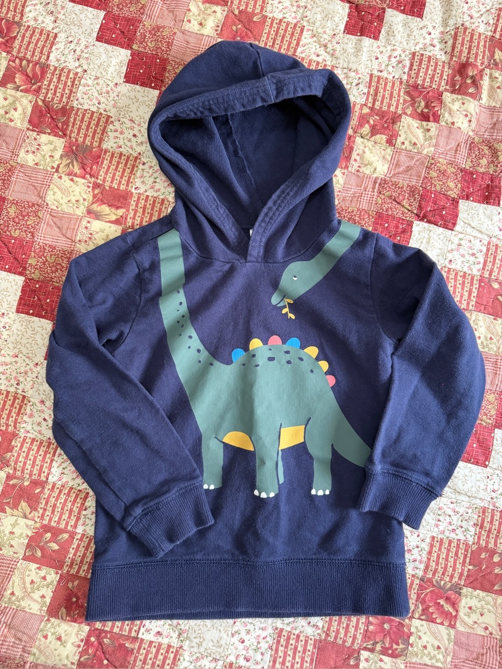 Carter’s Dinosaur Pullover Hoodie – Size 5T